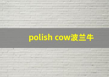 polish cow波兰牛